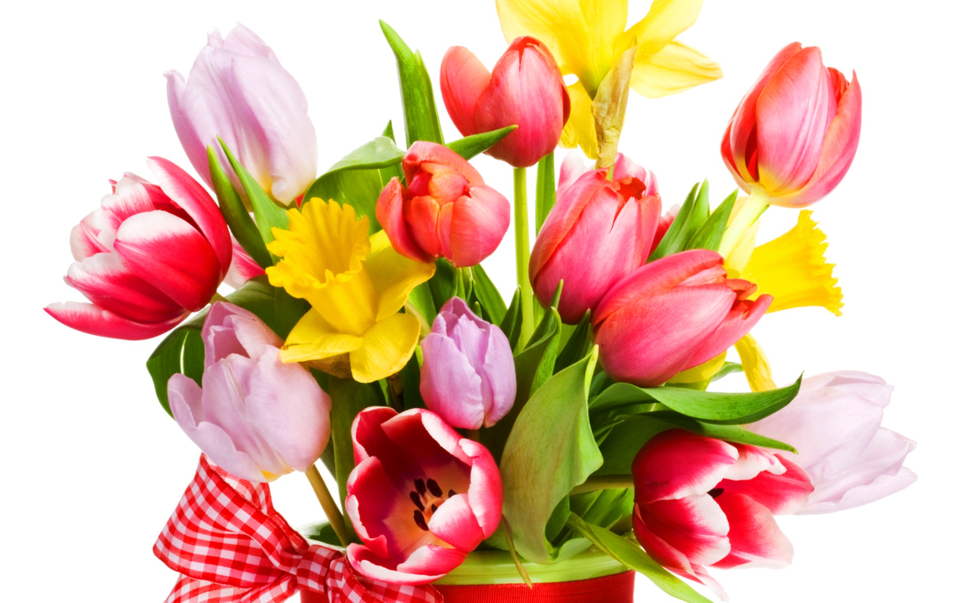 flower shop