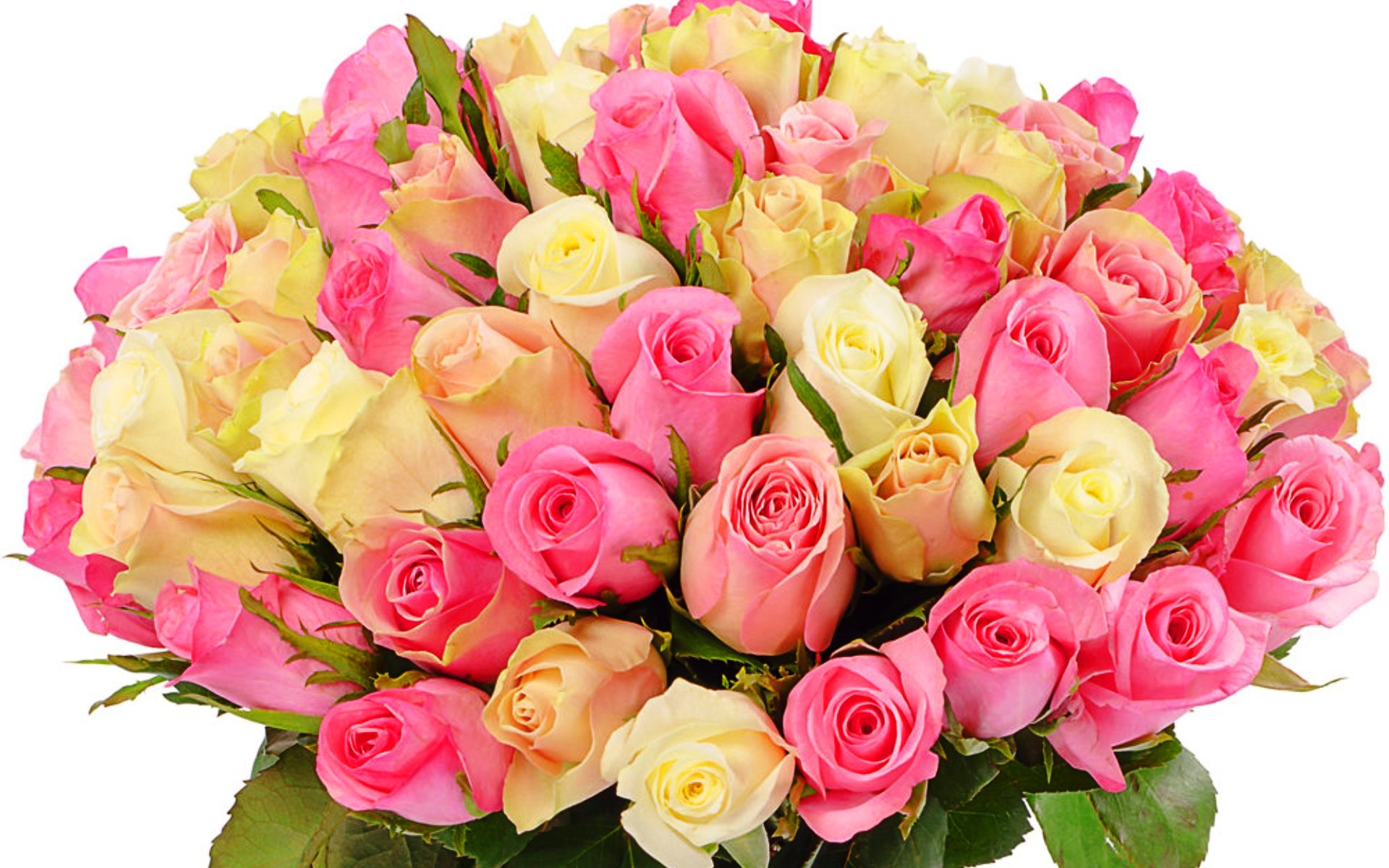 flower shop