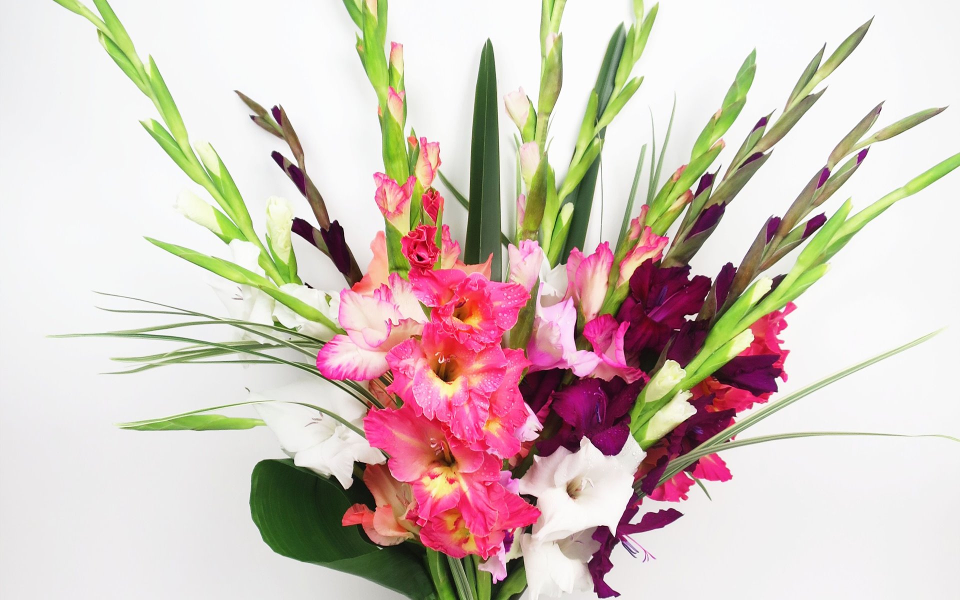 flower shop