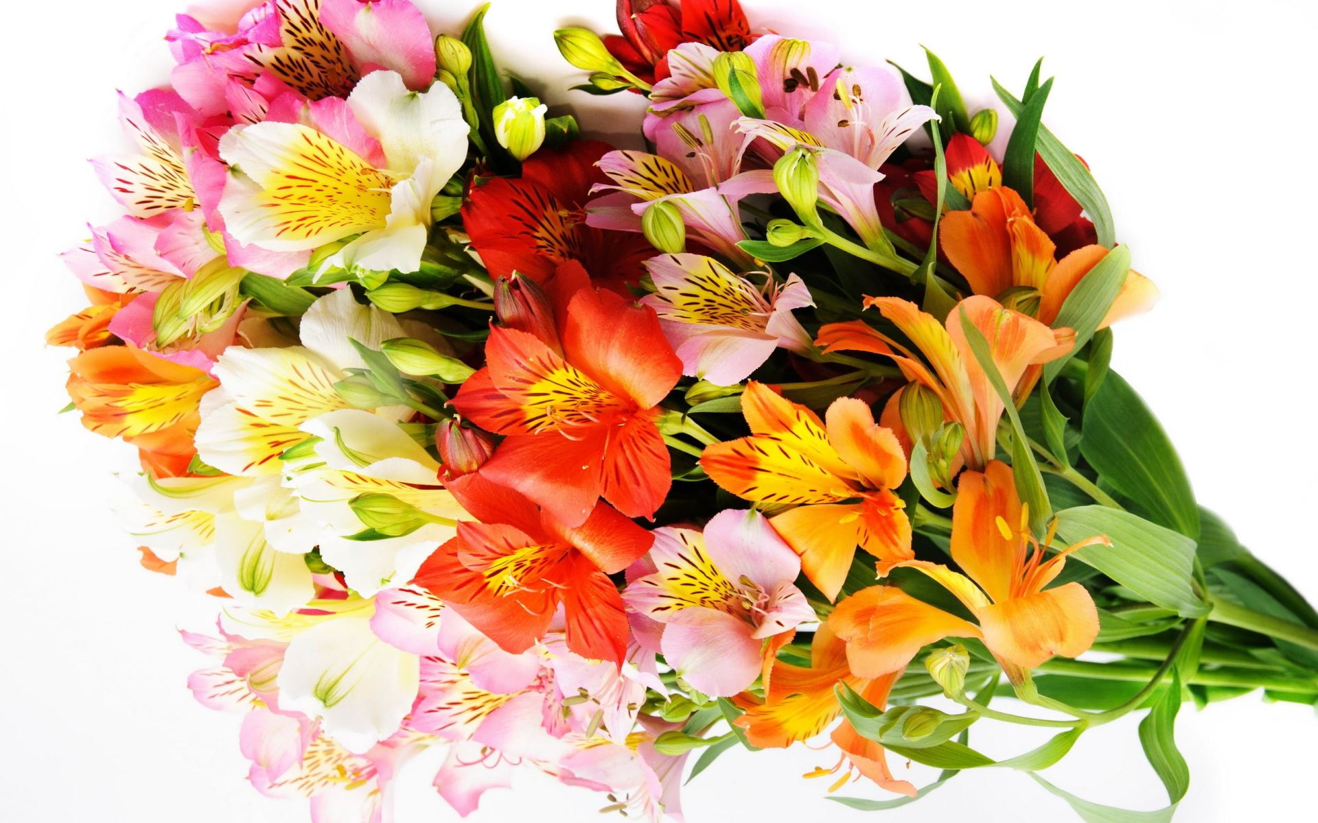 flower shop