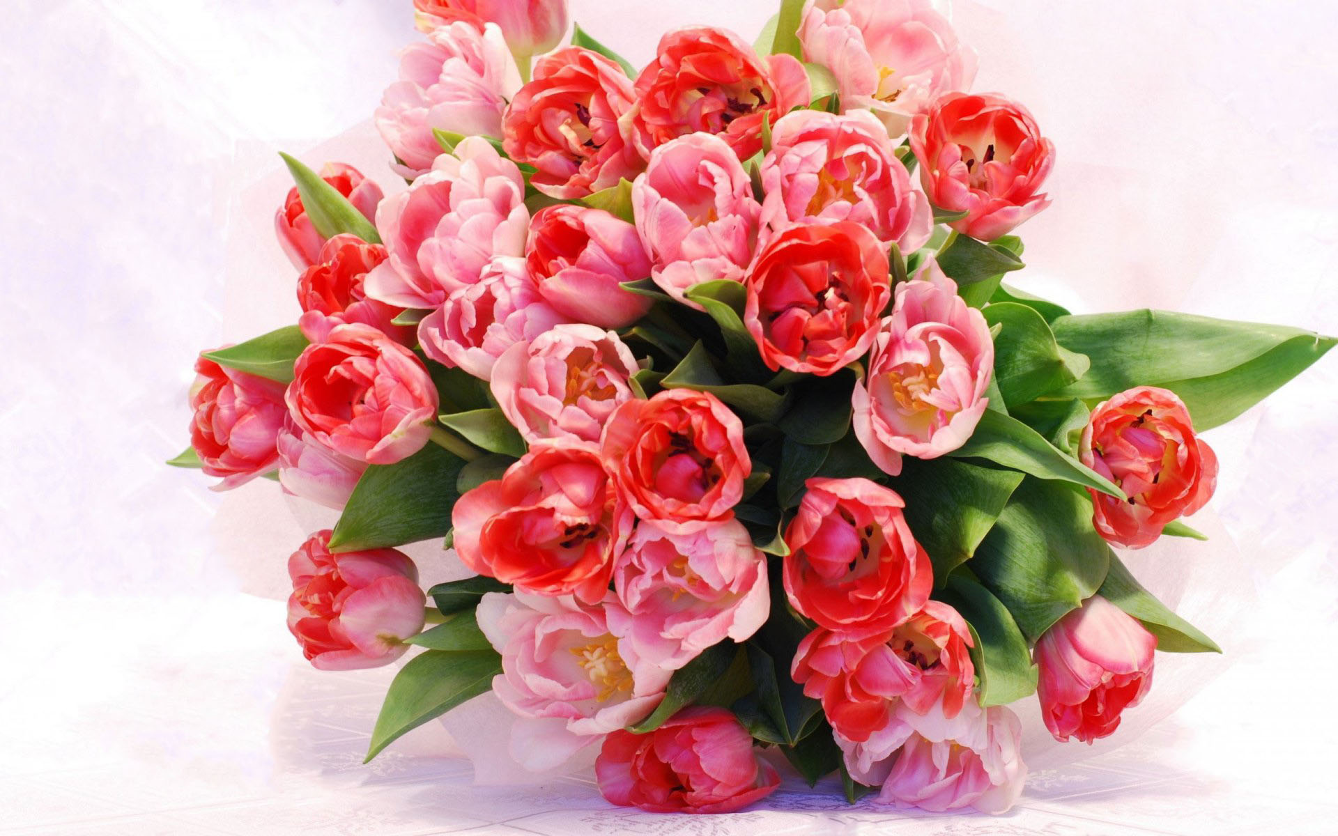 flower shop