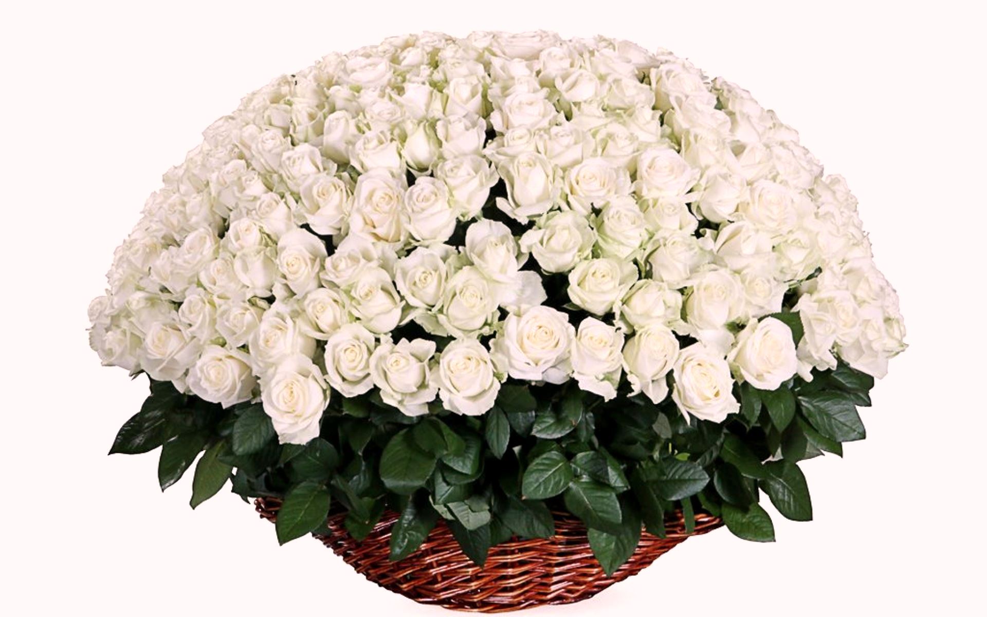 flower shop