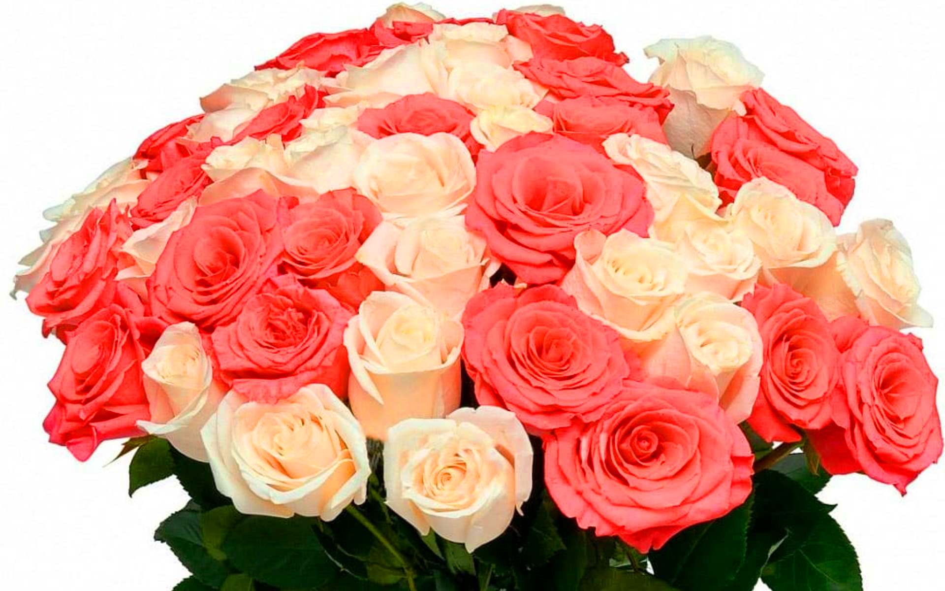 flower shop