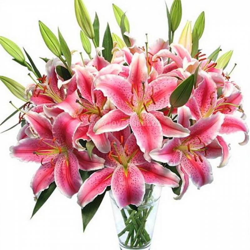 flower shop