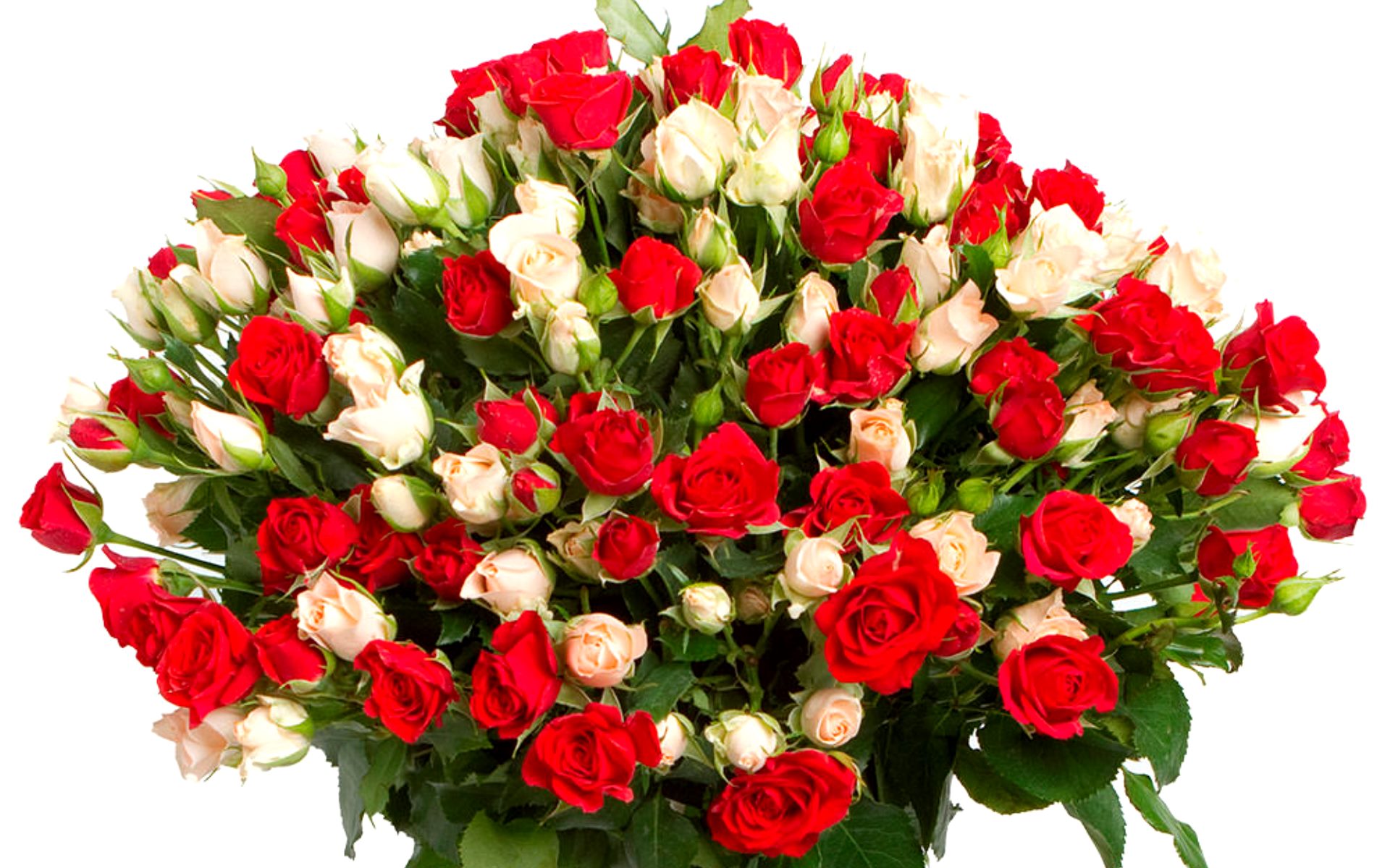 flower shop