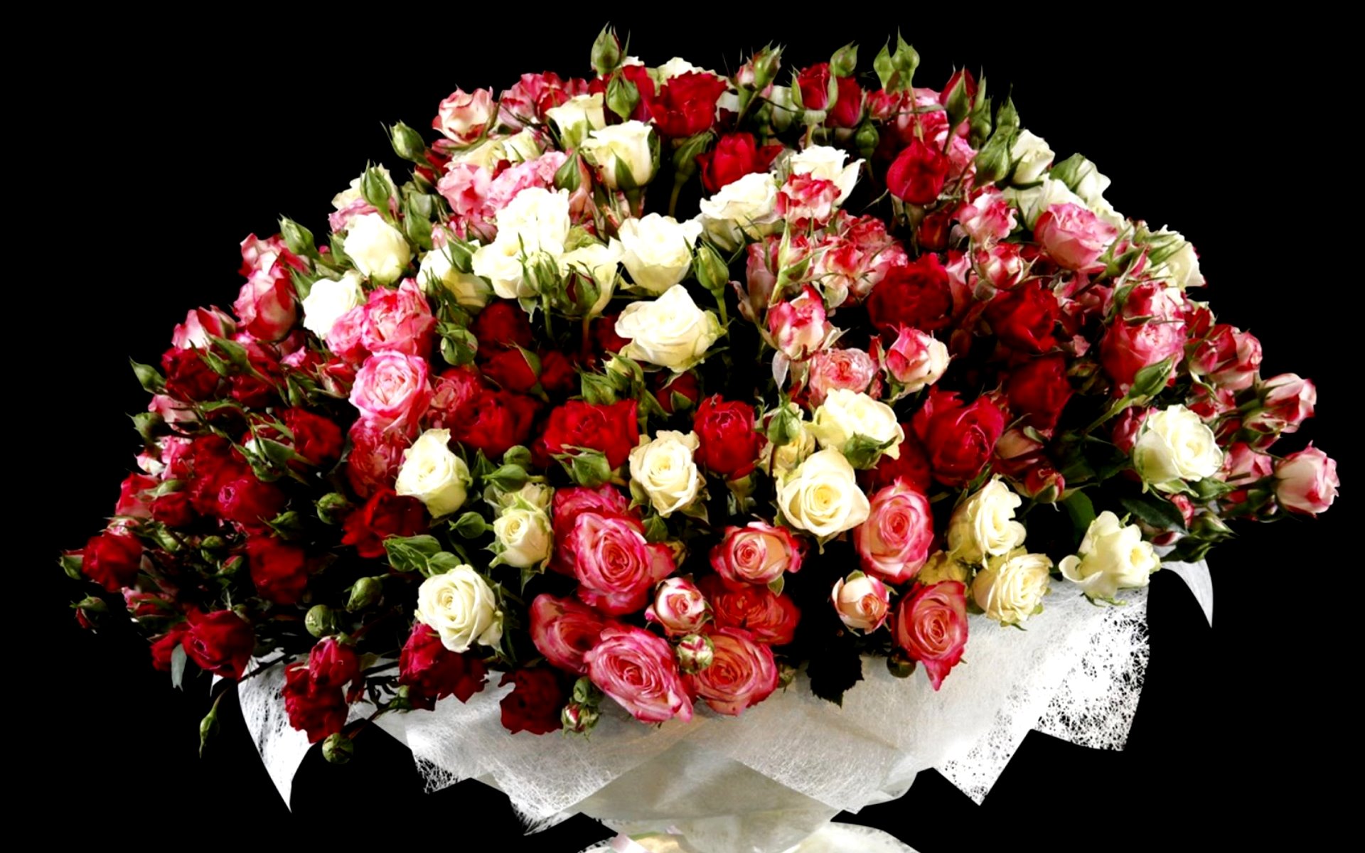 flower shop