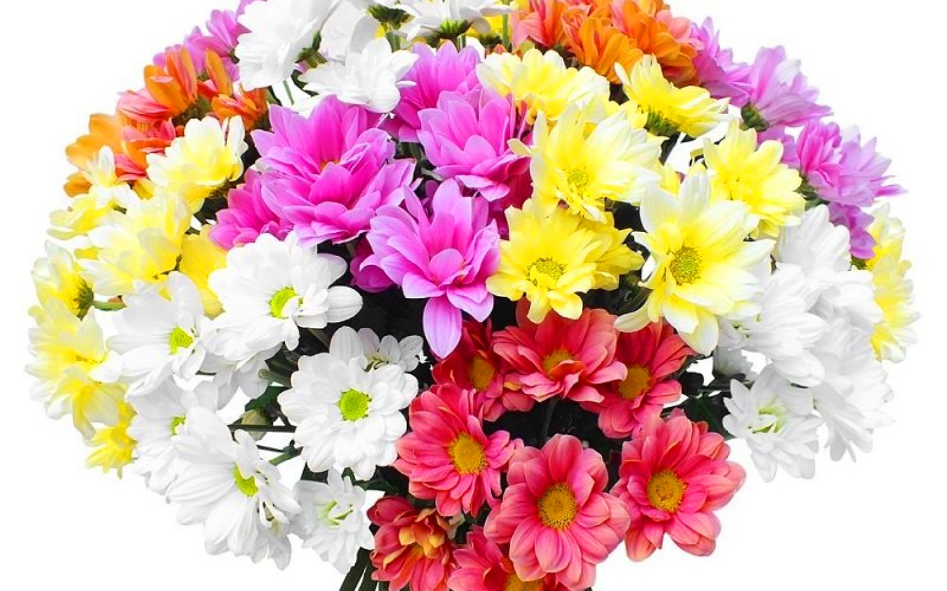 flower shop