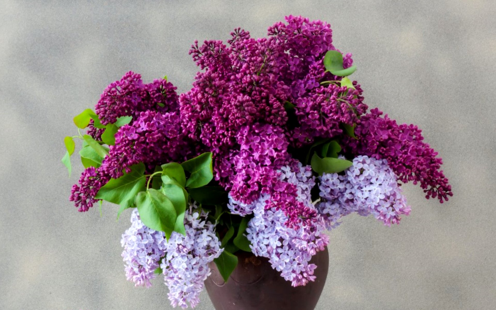 flower shop