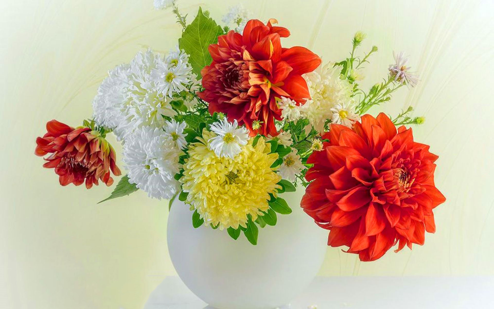 flower shop