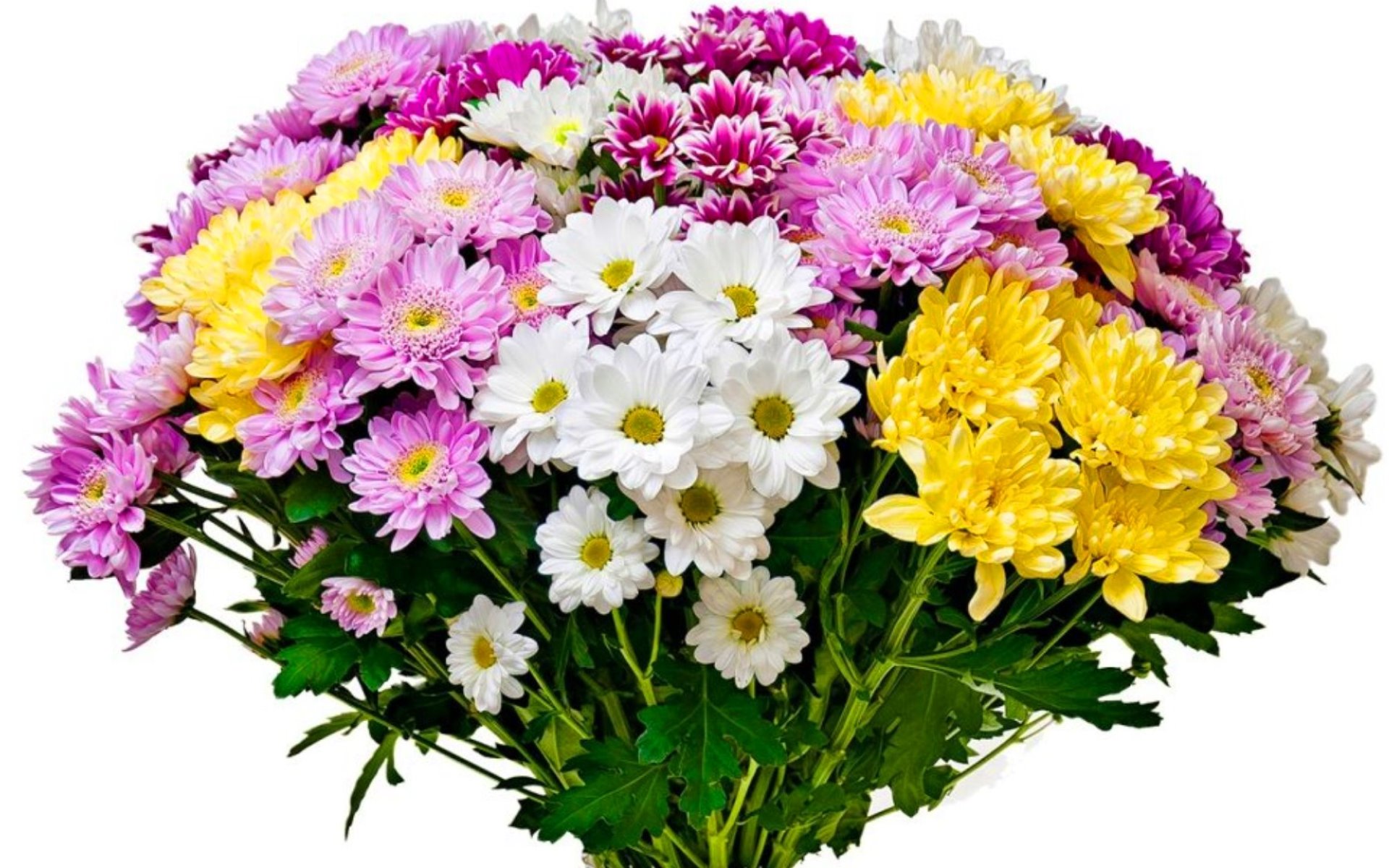 flower shop