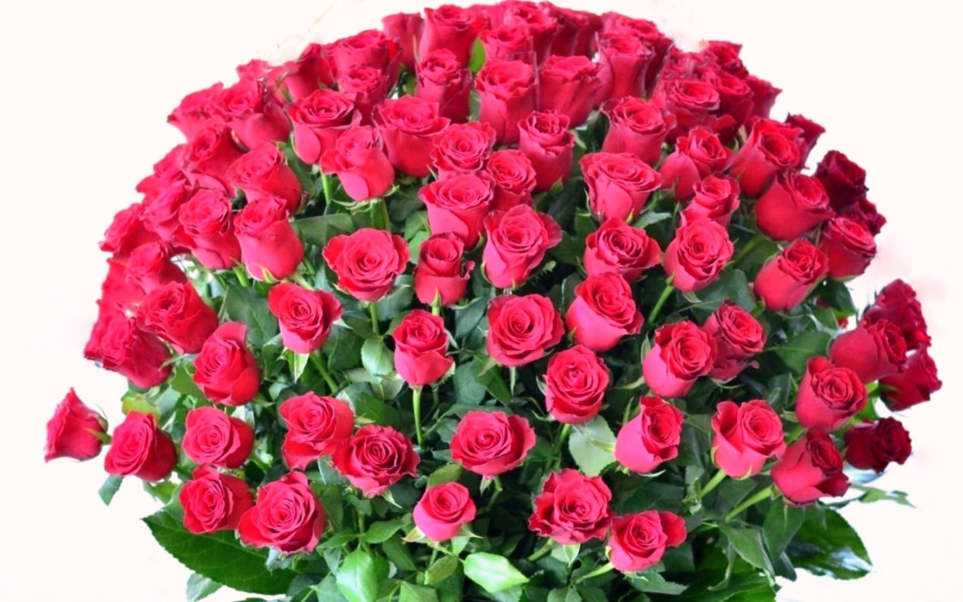 flower shop
