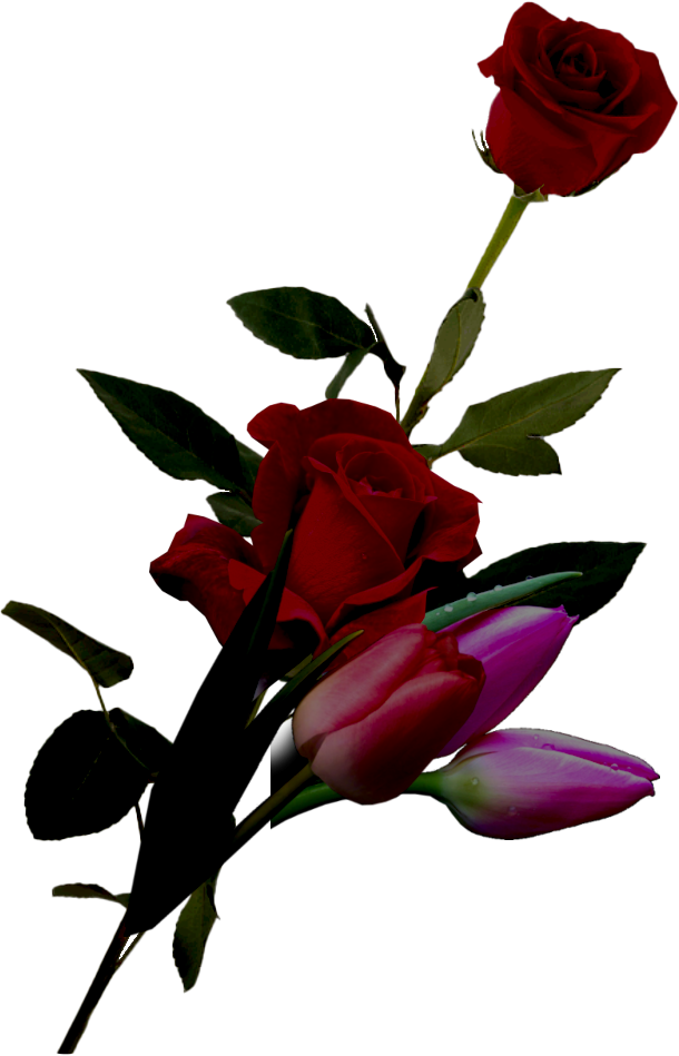 flower shop