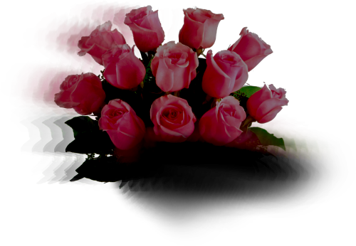 flower shop, магазин квітів