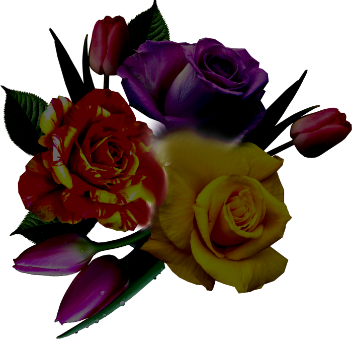 flower shop, магазин квітів
