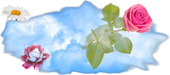 example site with flower company
